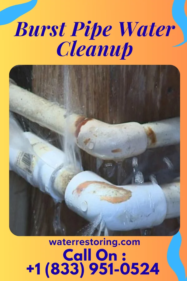 Burst Pipe Water Cleanup in Rutherford, NJ
