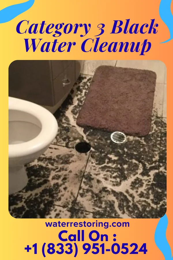 Category 3 Black Water Cleanup in Rutherford, NJ