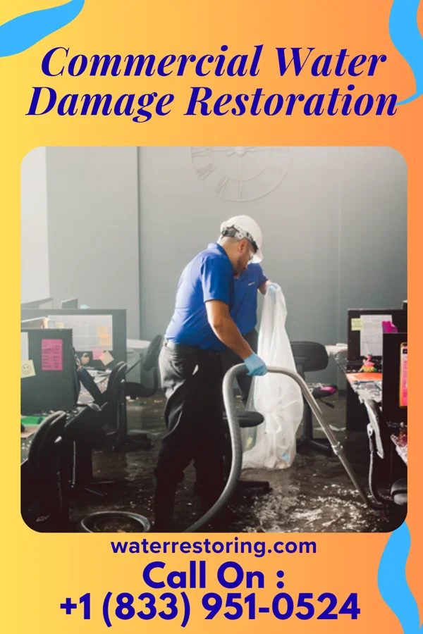 Commercial Water Damage Restoration in Rutherford, NJ