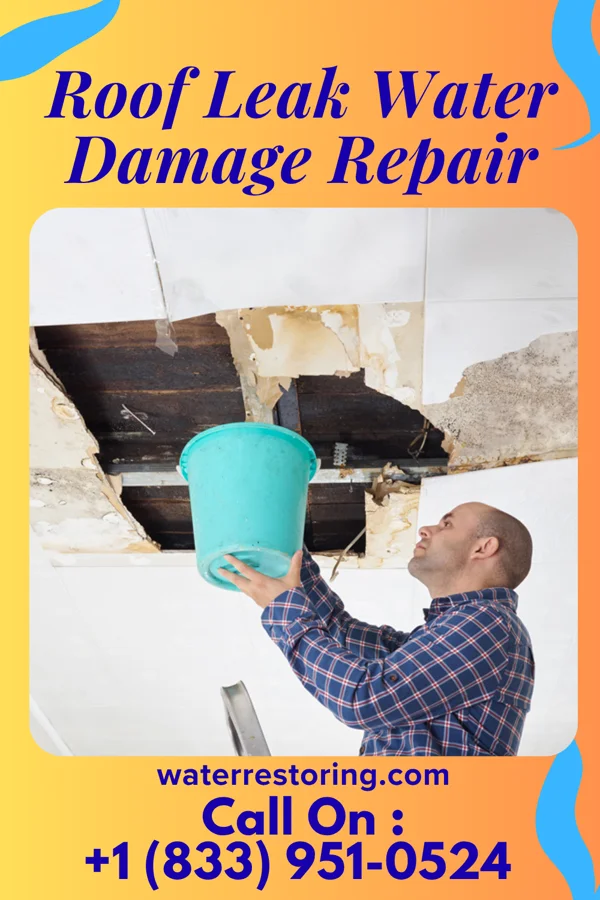 Roof Leak Water Damage Repair in Rutherford, NJ