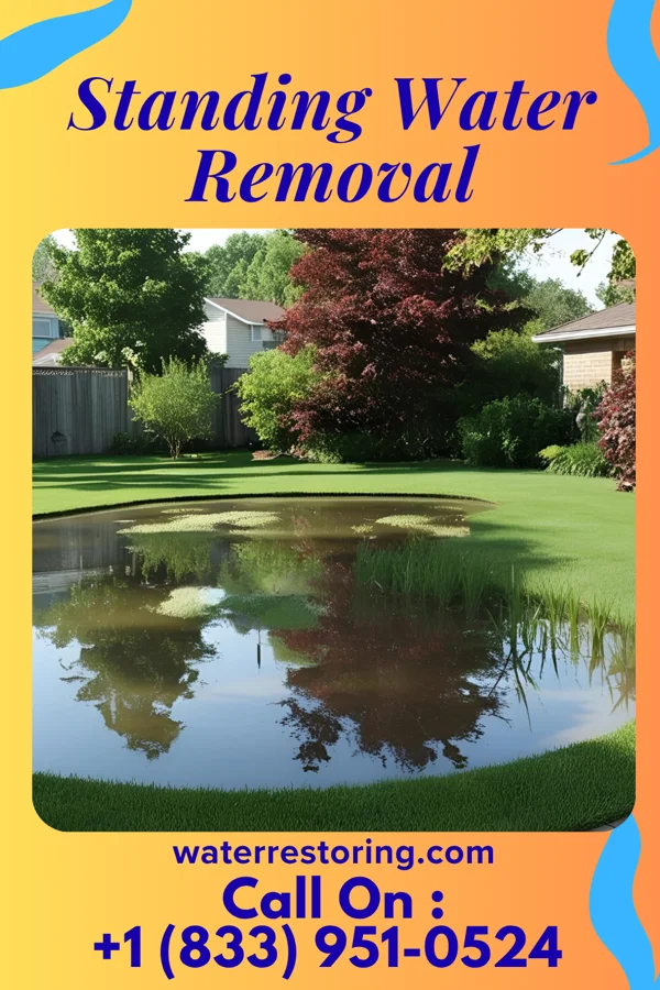 Standing Water Removal in Rutherford, NJ